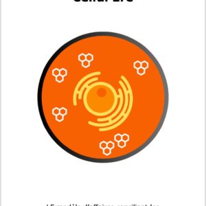 livre cellul'Ere